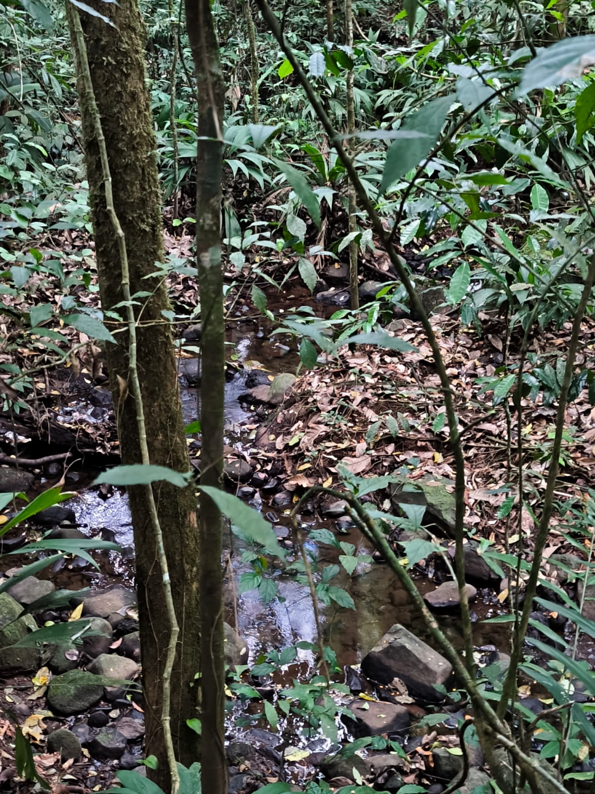 Naturaleza Sanadora de Finca La Mariola