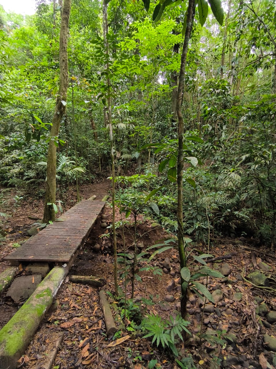 Sendero natural en Finca La Mariola